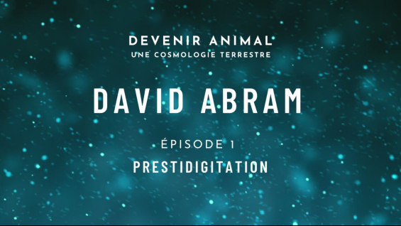 Épisode 1 : PRESTIDIGITATION Épisode 1 : PRESTIDIGITATION