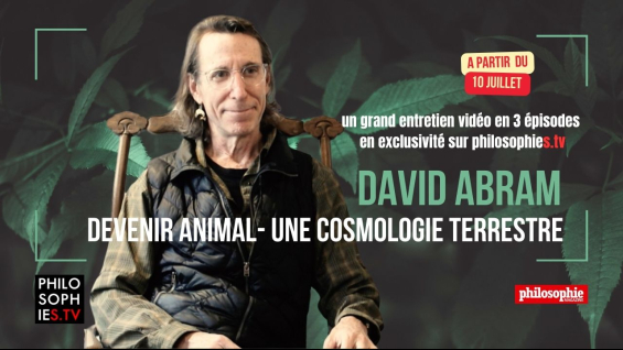 David Abram - Teaser